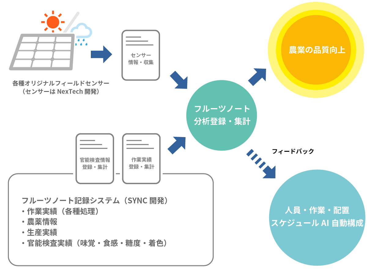 株式会社シンク情報システム SYNC その他の活動